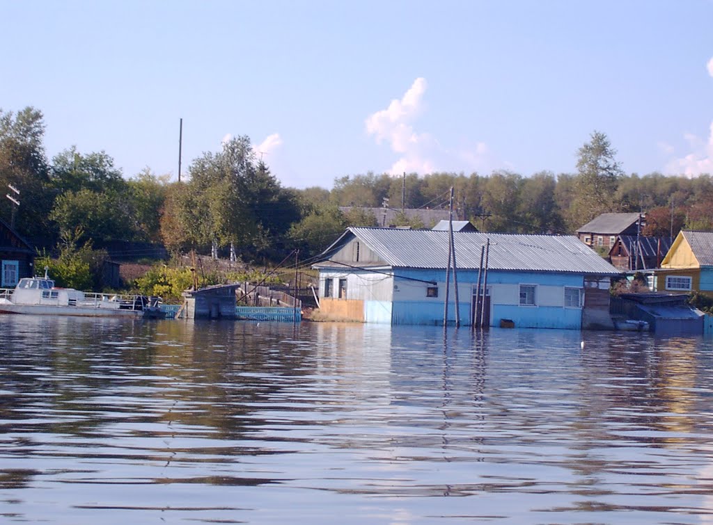 подтопления в Богородском