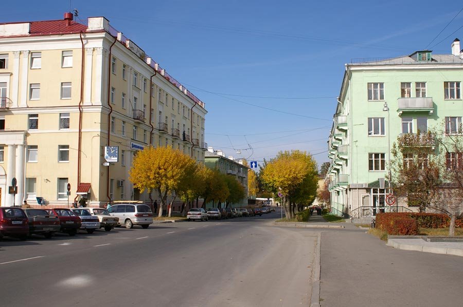 Вид на улицу Васильева в районе бульвара Циолковского / View of Vasiliev street in area close to Tsiolkovsky boulevard (05/10/2007)
