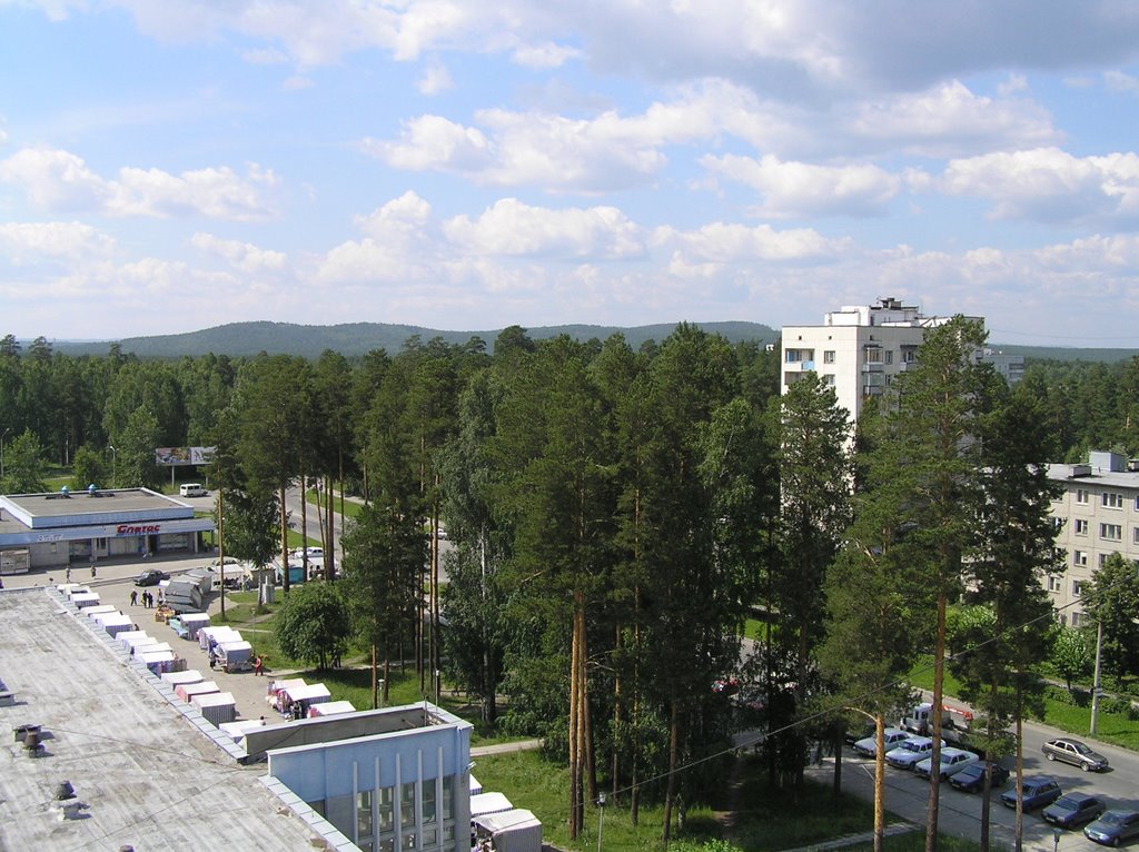 Вид на лес