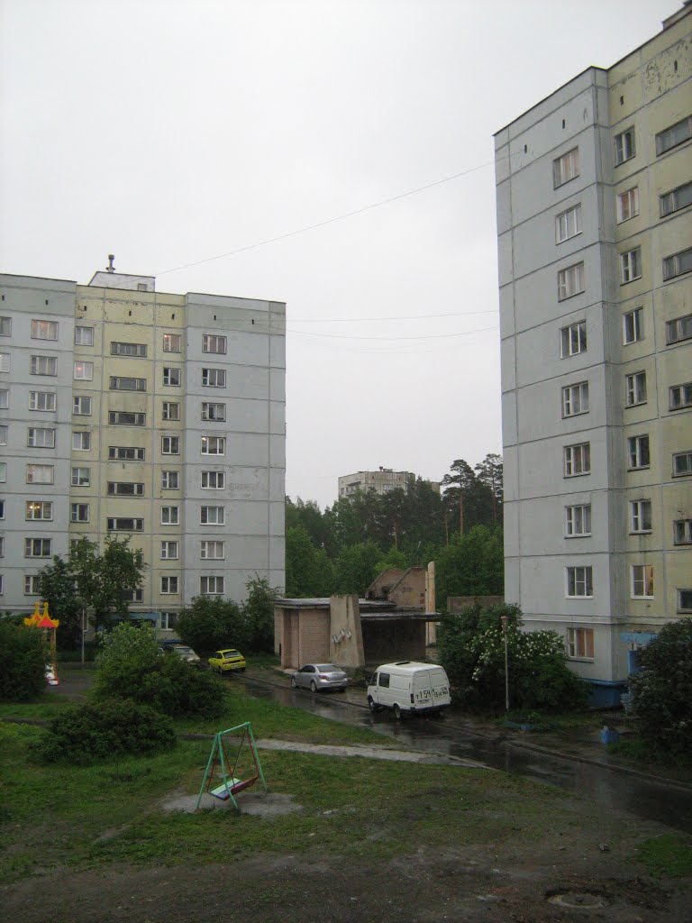 Три поросенка!