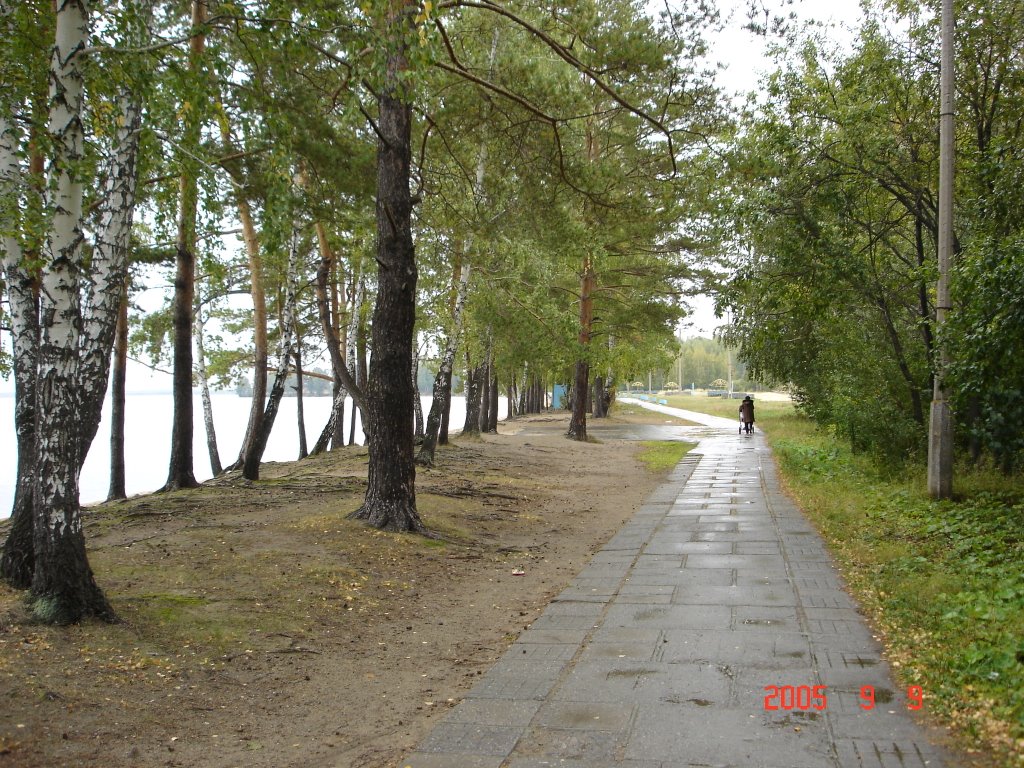 Снежинск, берег озера