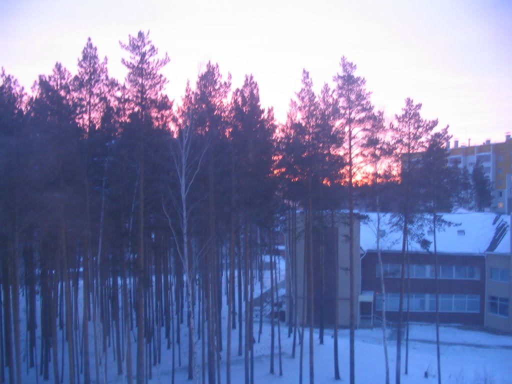 Зимняя заря