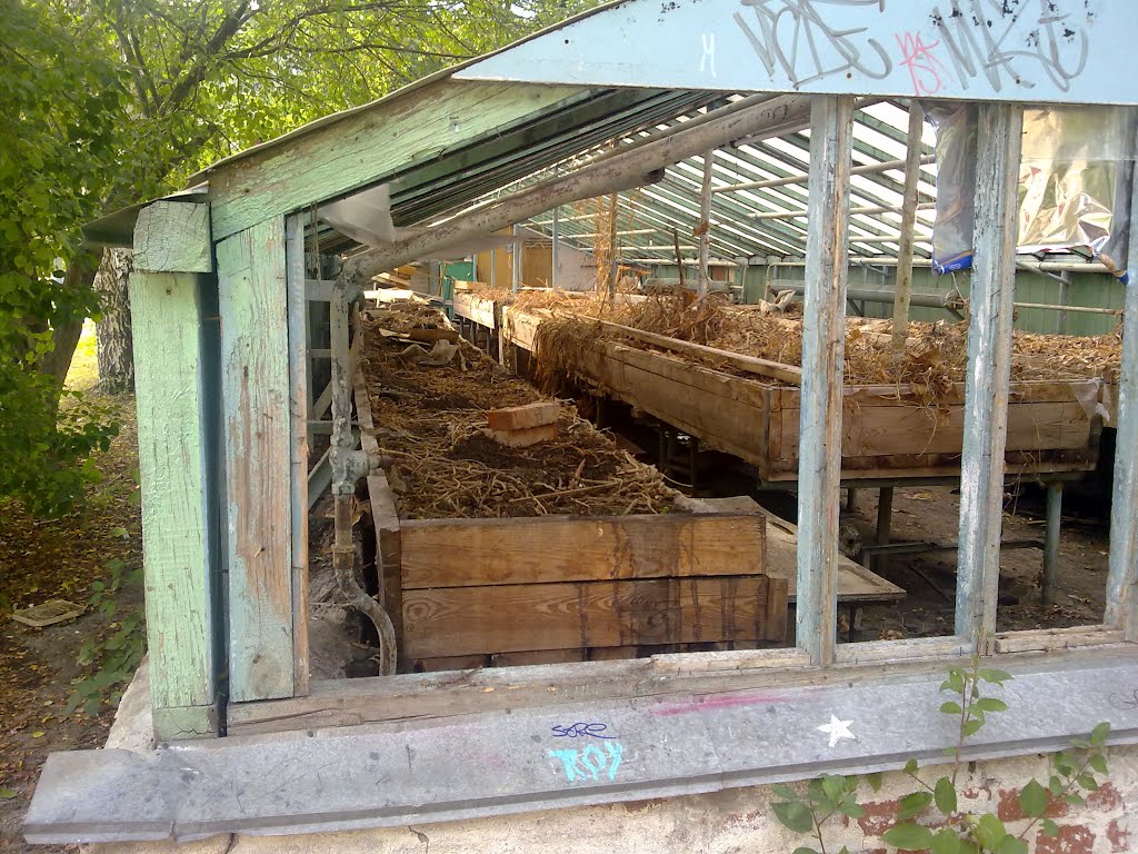 Snezhinsk