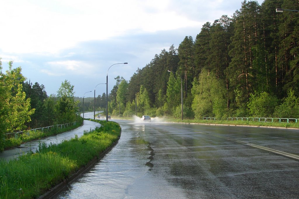 Дорога в город