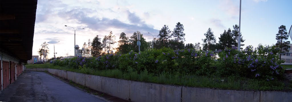 Трёхгорный