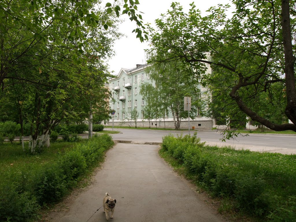 Трёхгорный