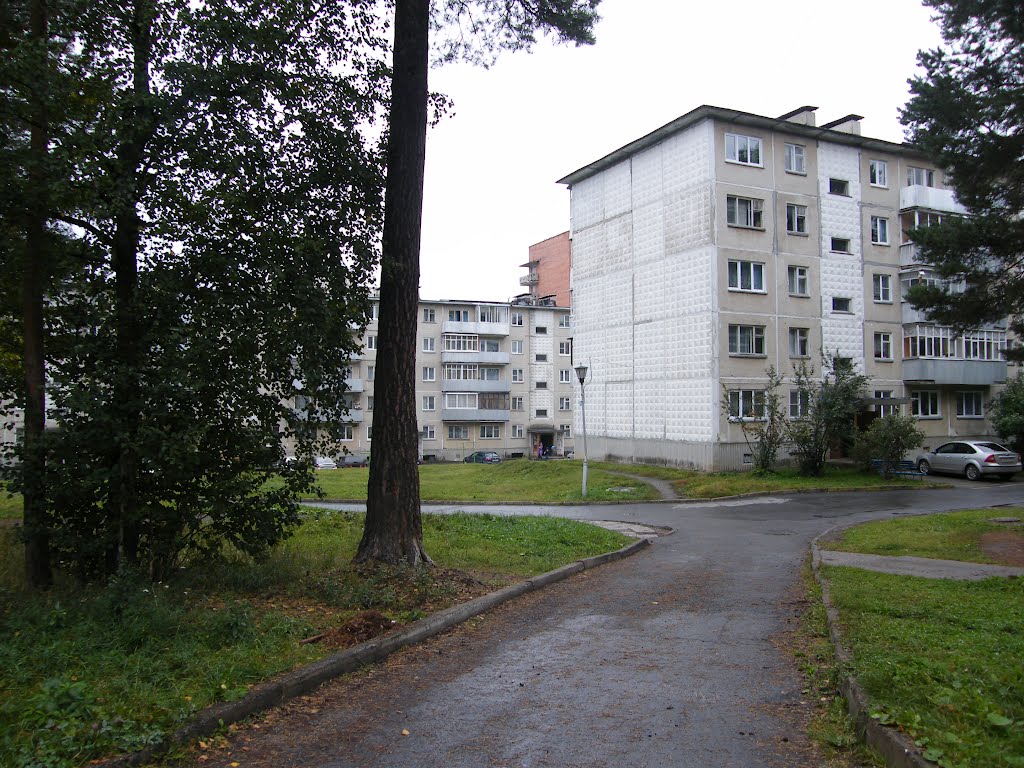 Home Mira 42, Мира 42
