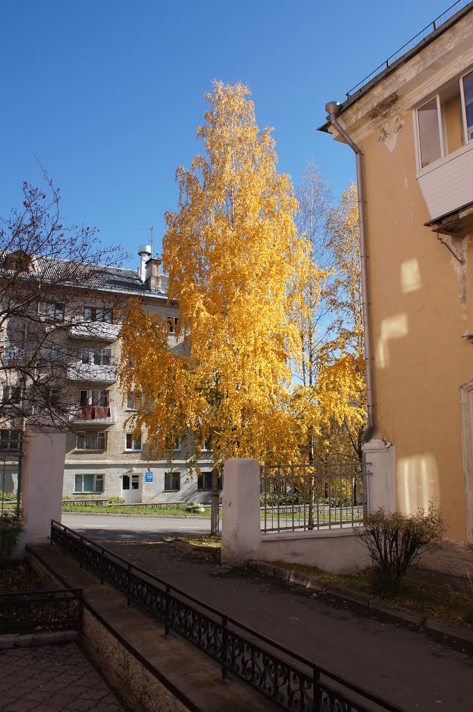 Трёхгорный. Осень.