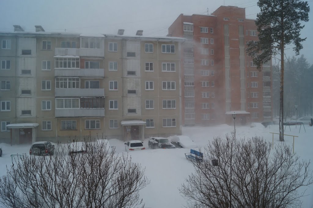 Снежная вьюга 8 марта 2013