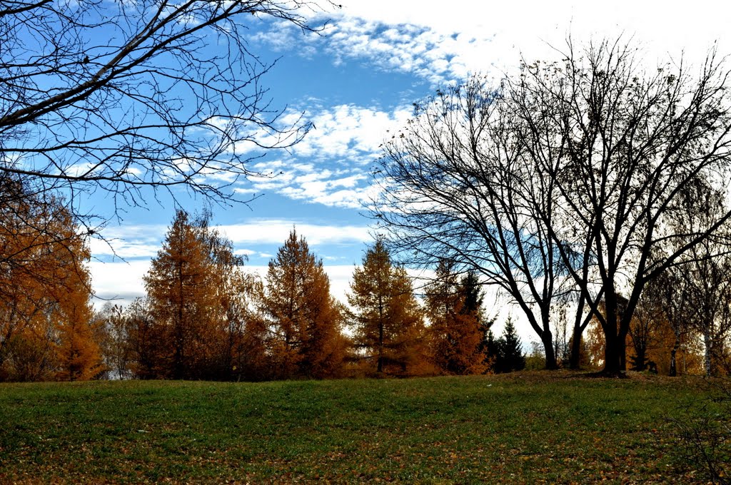 Victory Park