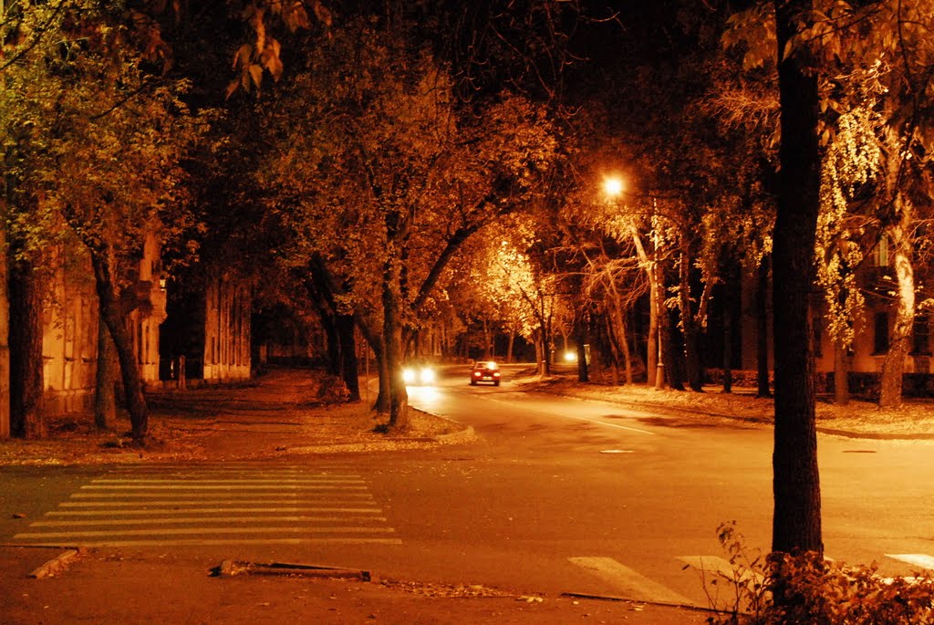autumn evening