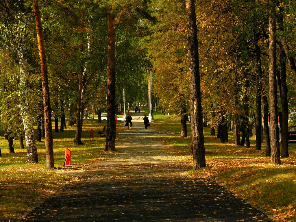 Autumn alley