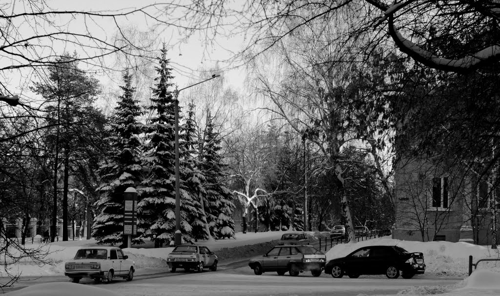Winter Street