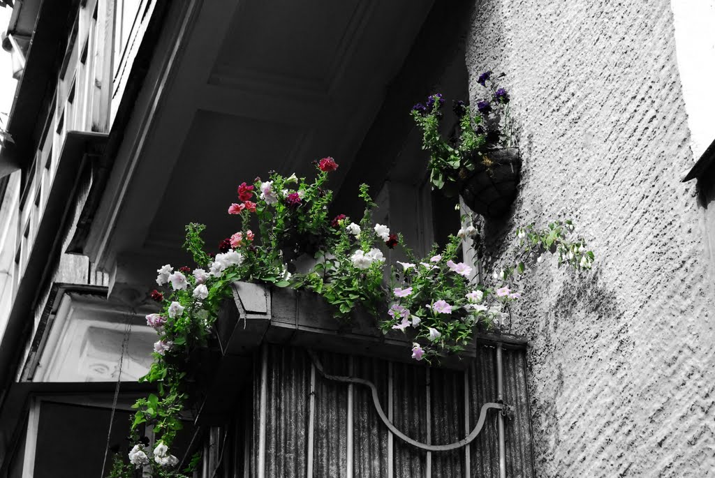 Ozersky balcony