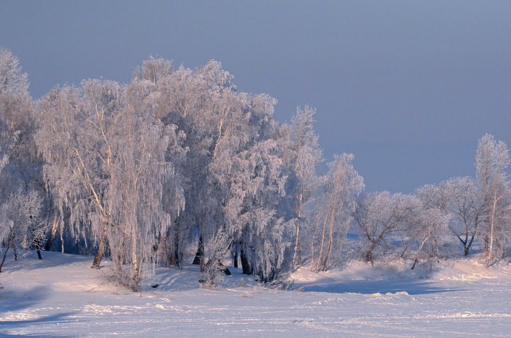 Winter patterns