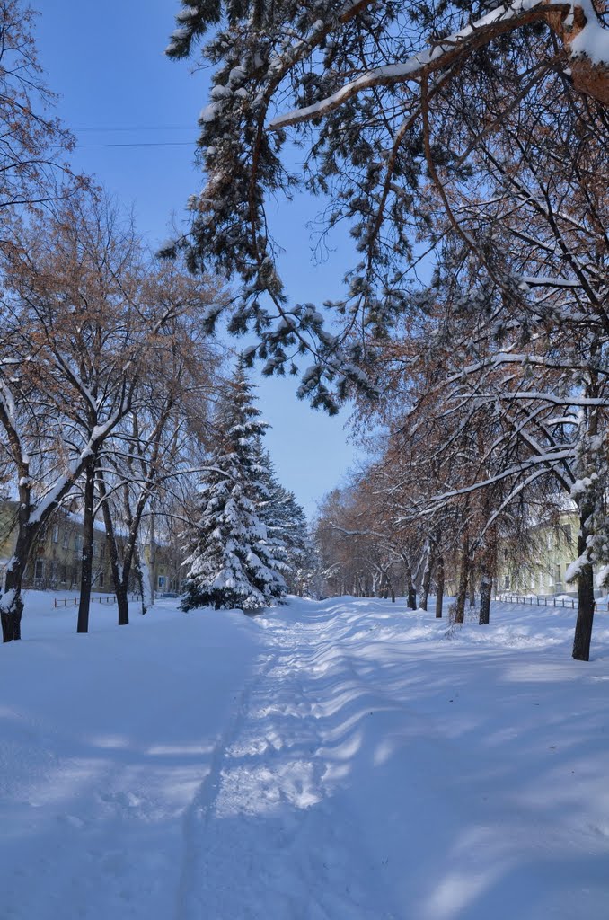 Lenin Avenue