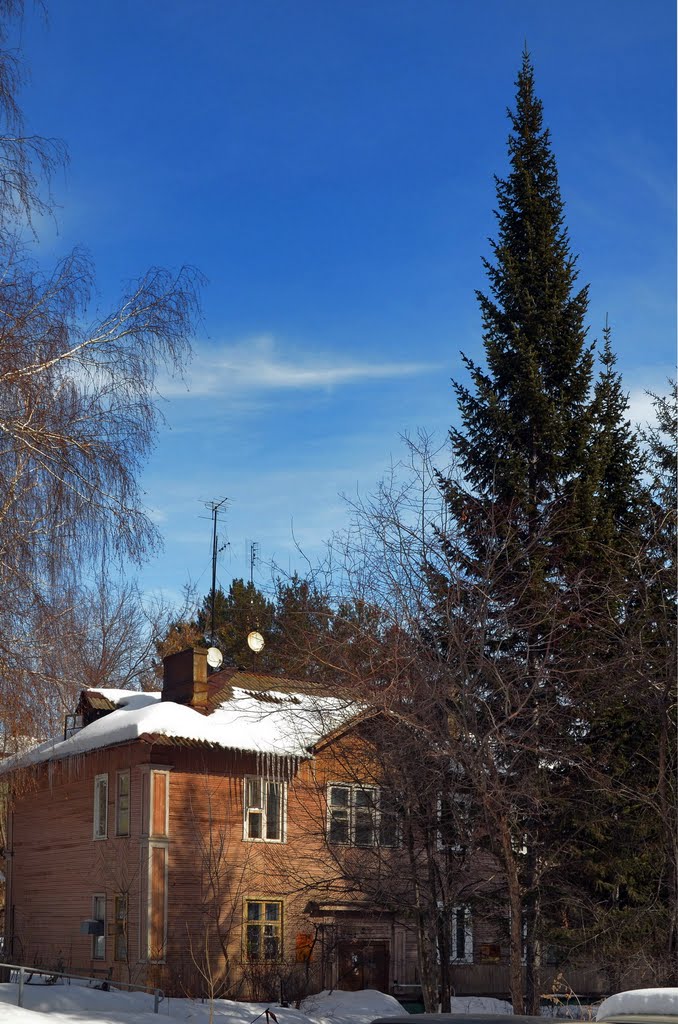 Old Yard