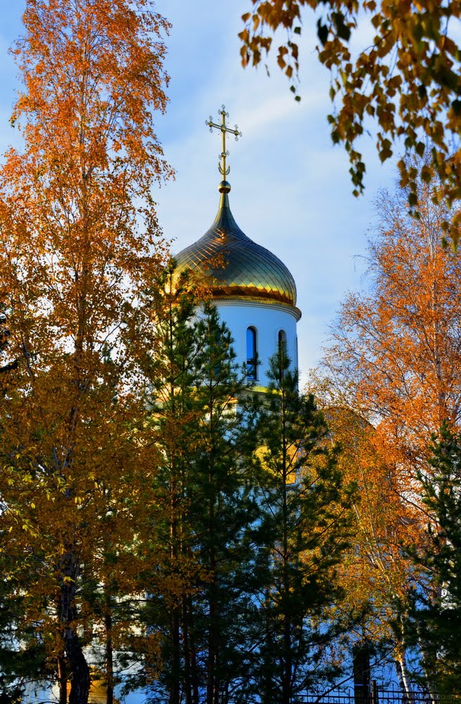 the golden dome of yellow leaves