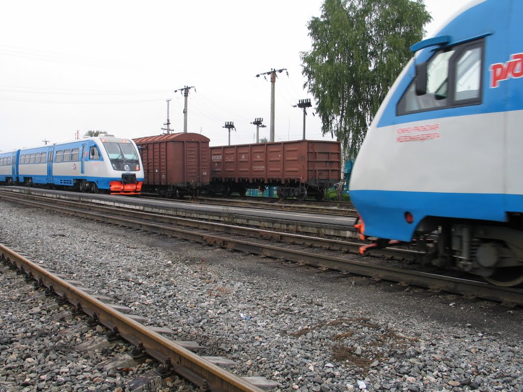 Novogornyy