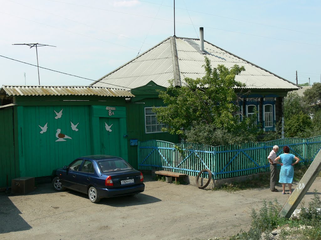 House with pigeons