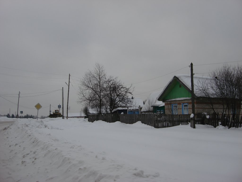 Asha. Winter