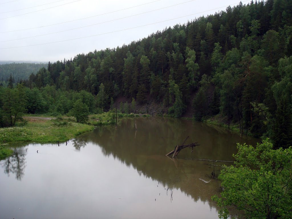 Бакал
