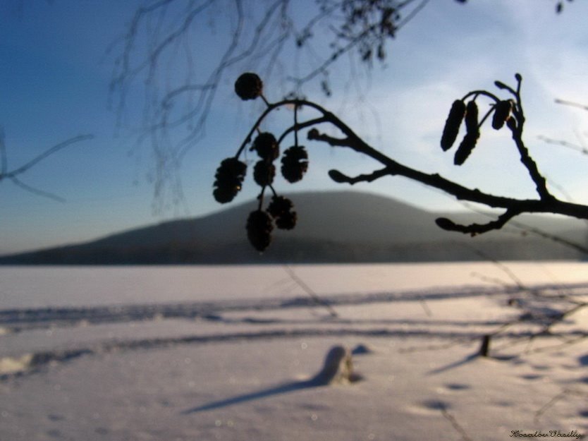 Тургояк, Гора Липовская / Turgoyak(winter view)