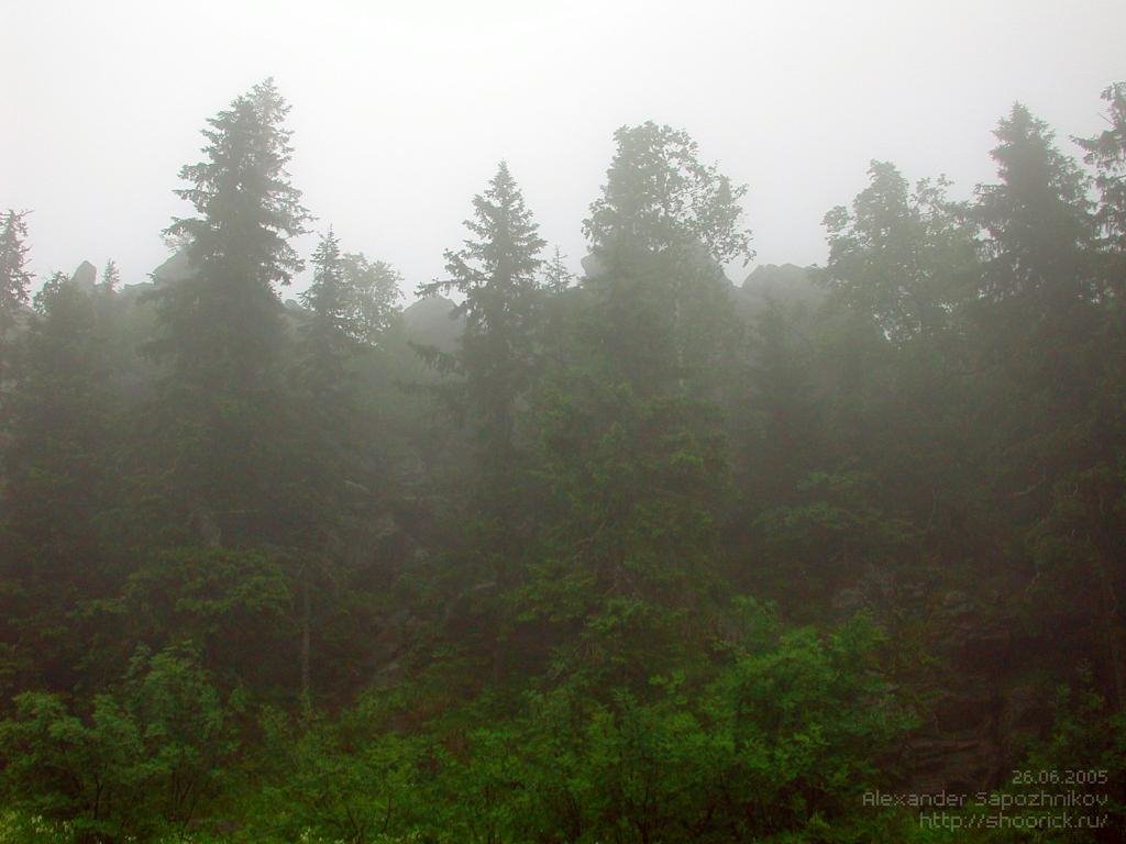Туман на Чёрной скале / Haze at Chyornaya Skala (Black Rock)