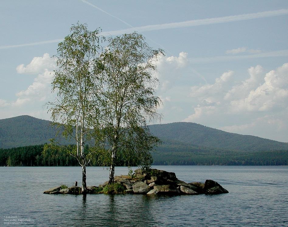 Берёзы на озере Тургояк / Birches on Lake Turgoyak