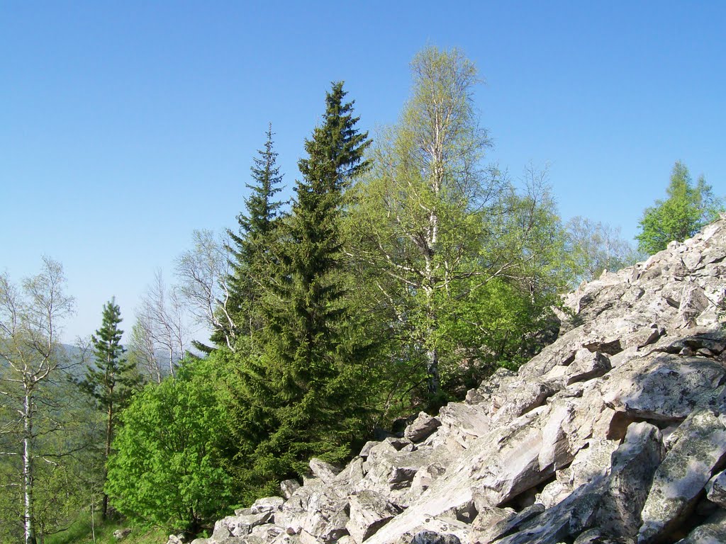 Подъем на Александровскую сопку 1 / On the Aleksandrovskaya