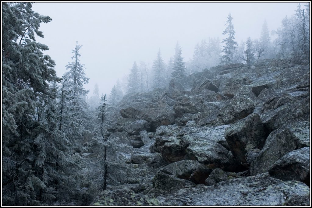 Foggy  slope