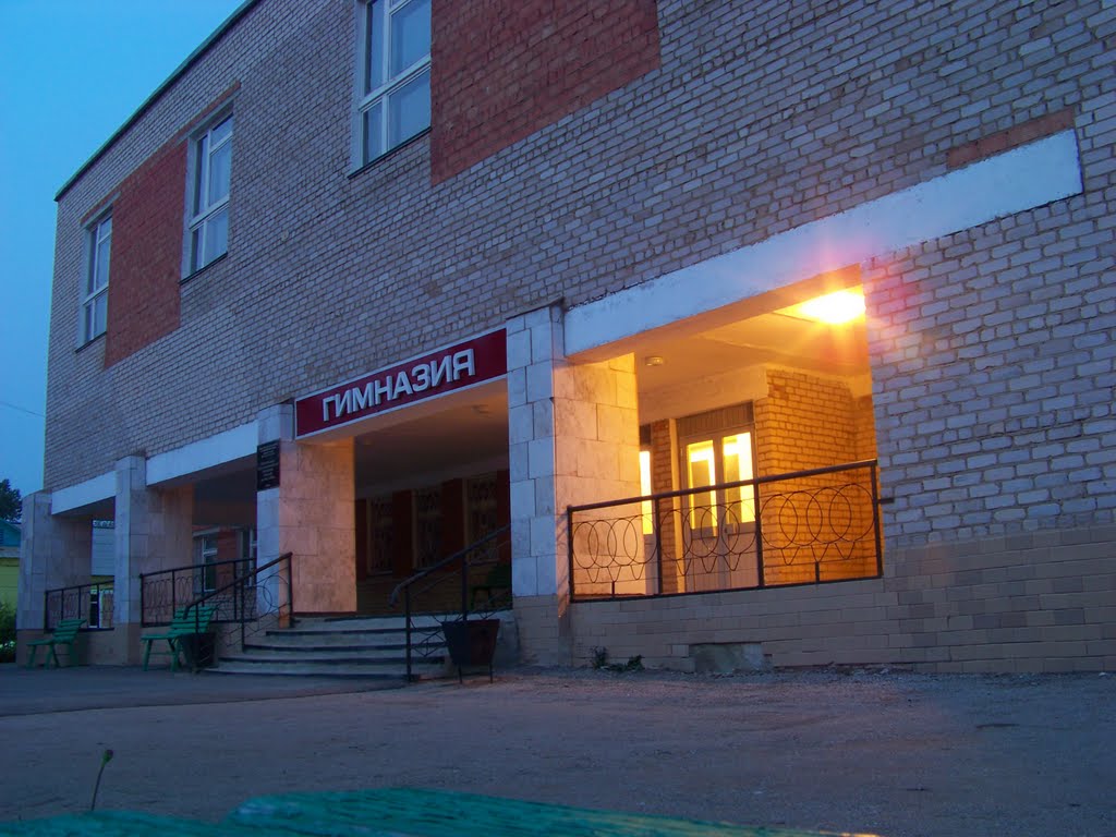 Гимназия вечером
