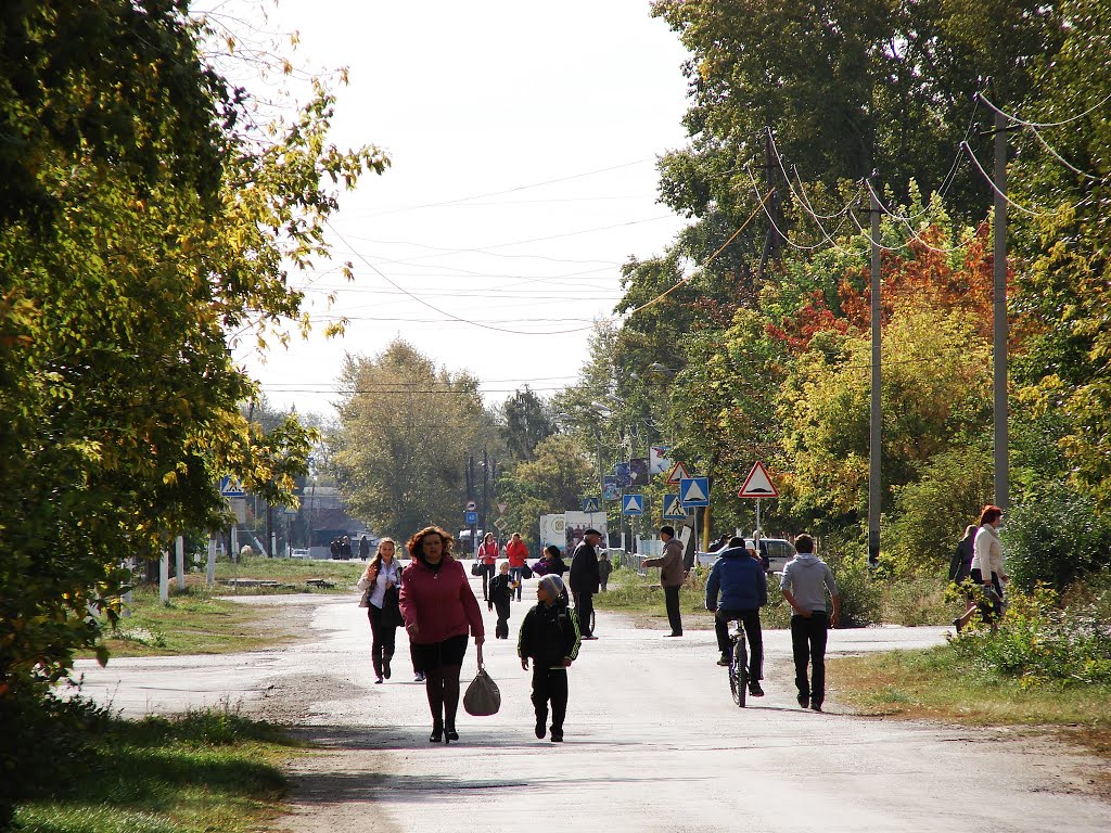 Улицы