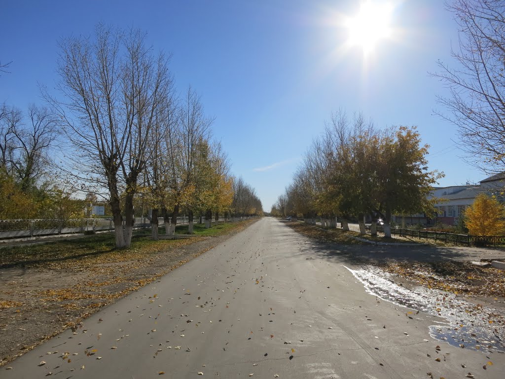 Варна