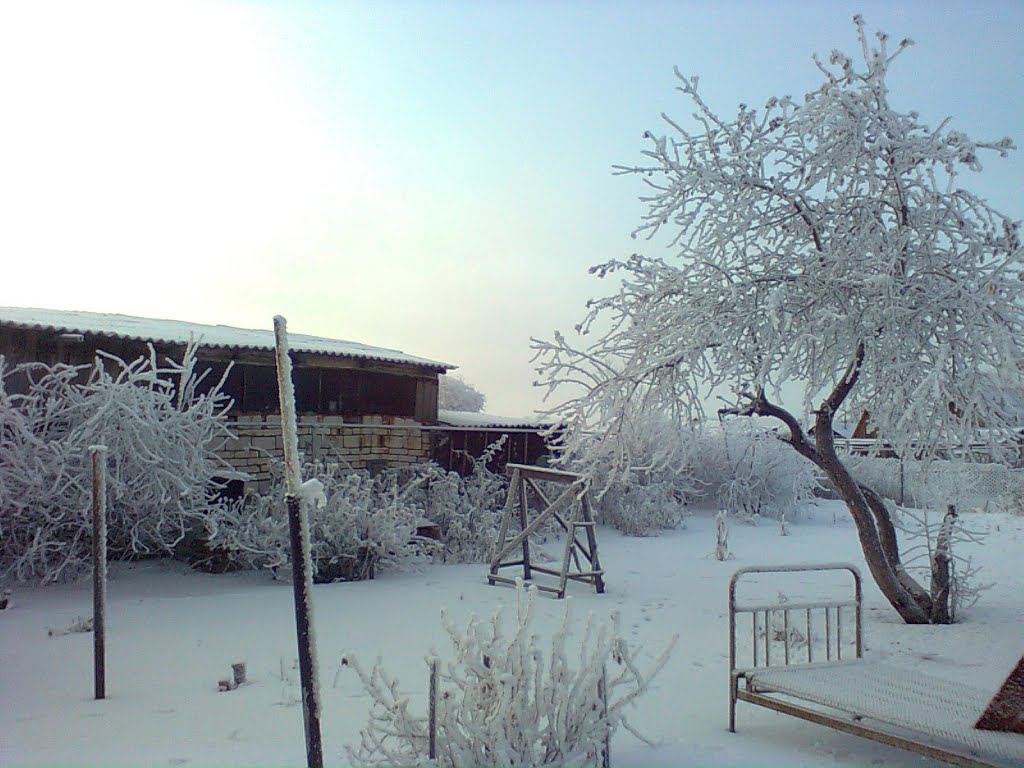 зима 2011