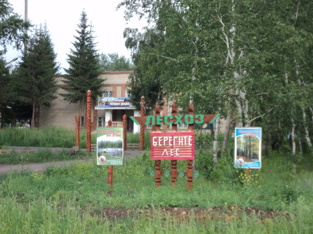 171. Верхнеуральский лесхоз