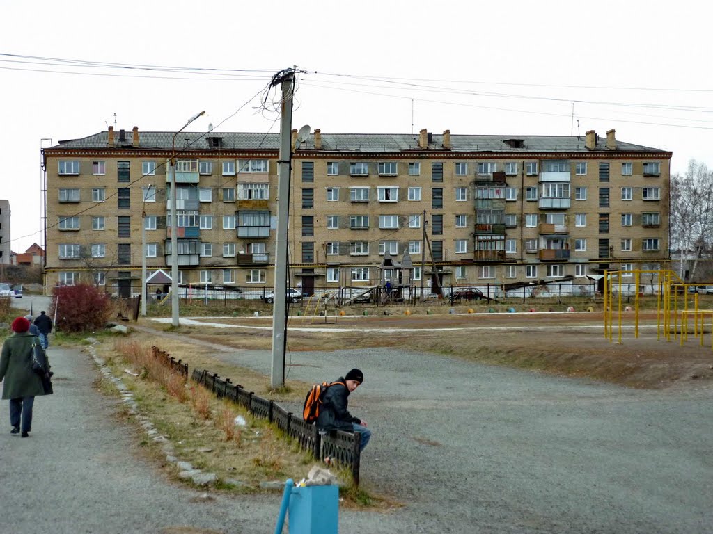 Дом 131 по ул. Карла Маркса