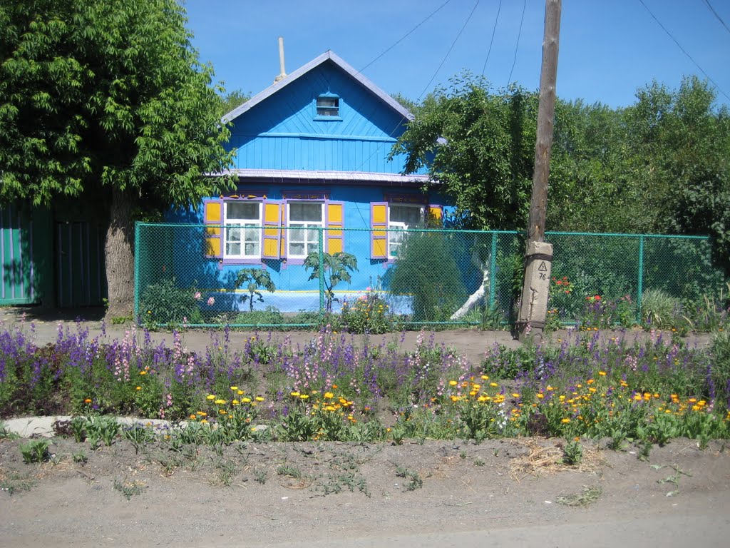 красивый дом