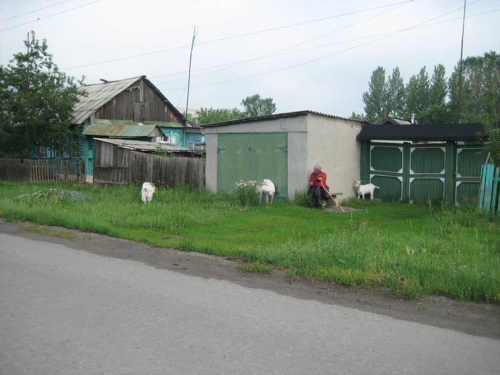 козы