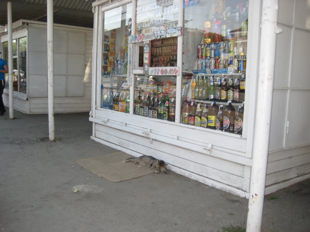 утамился