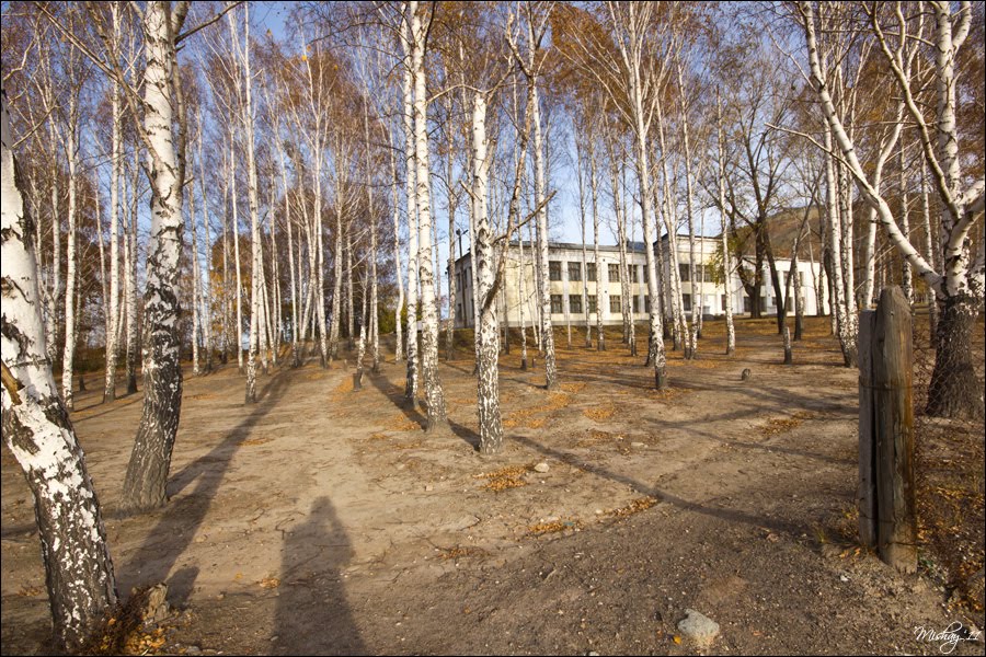 Школа