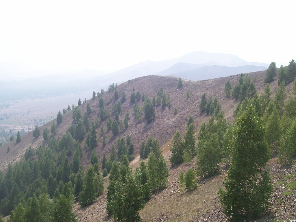 Золотогорский пейзаж / The landscape
