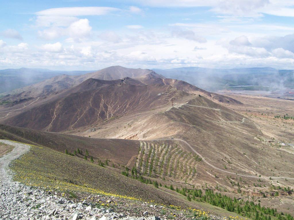 Золотая гора / Gold mountain