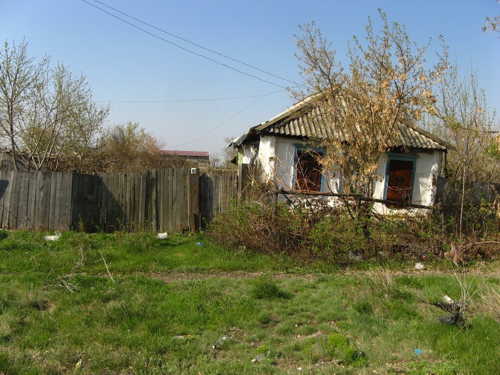 Полтавка 2009