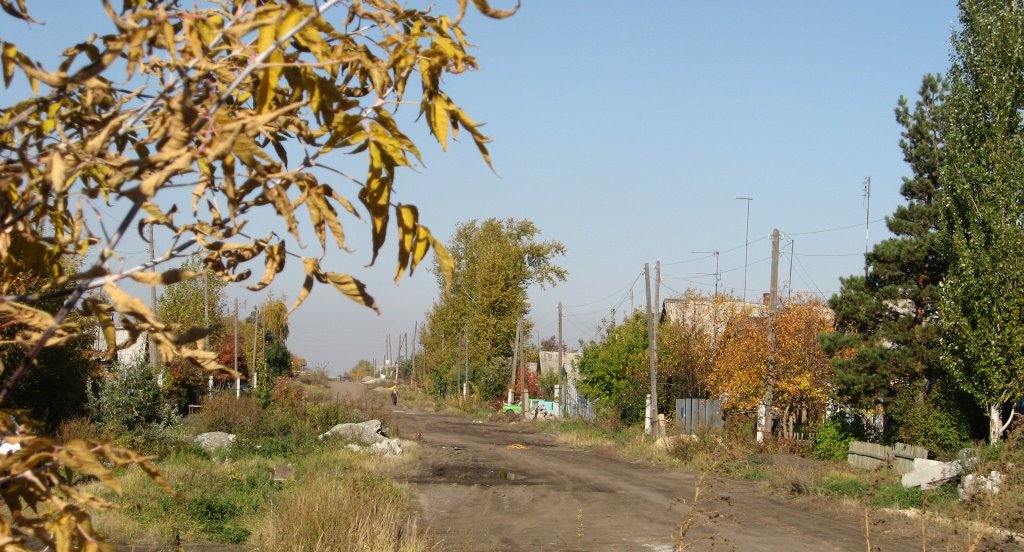 Ул. Кормильцева. Осень
