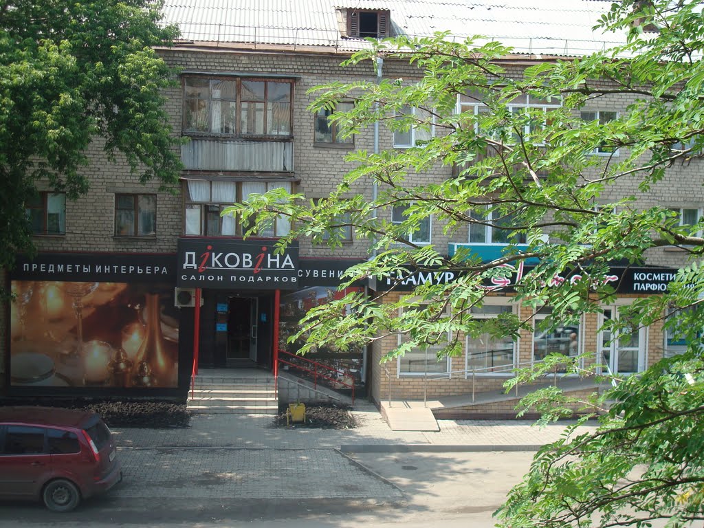 Магазин диковина