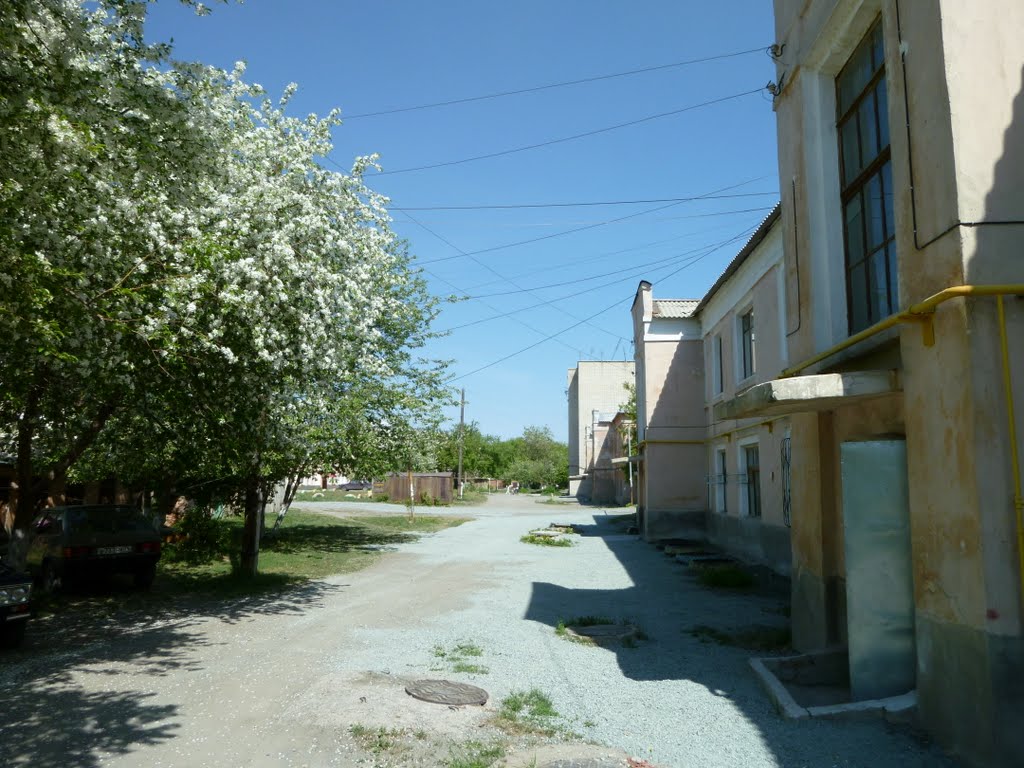 ул.Дзержинского май 2010
