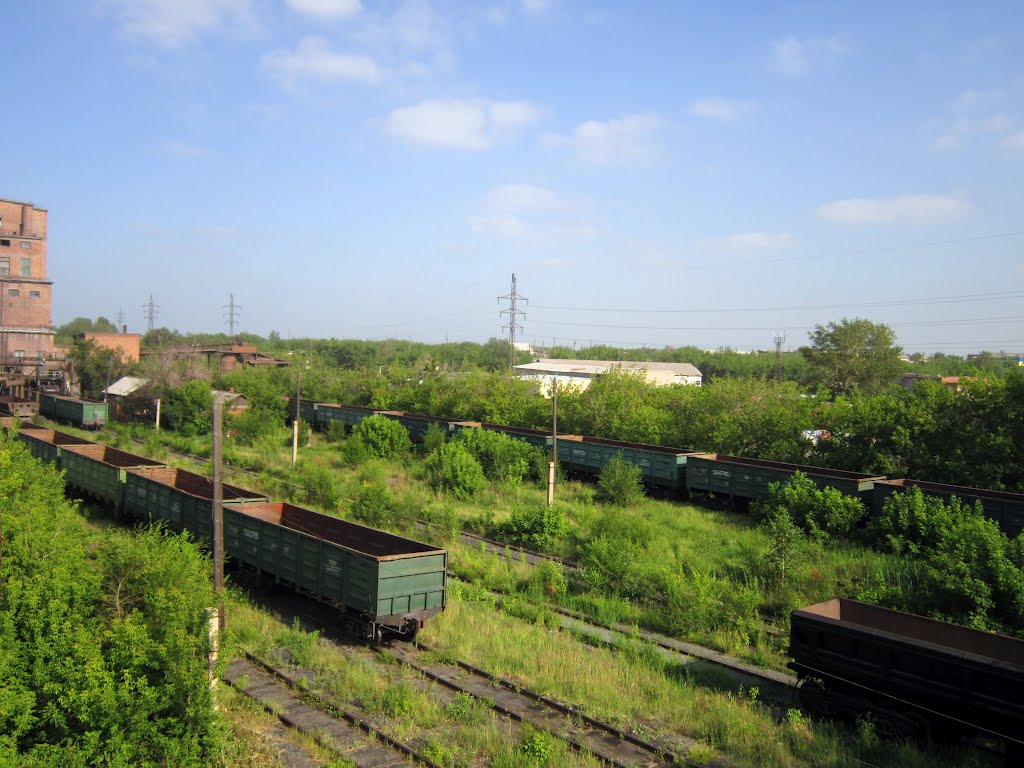 Вагоны /Wagons
