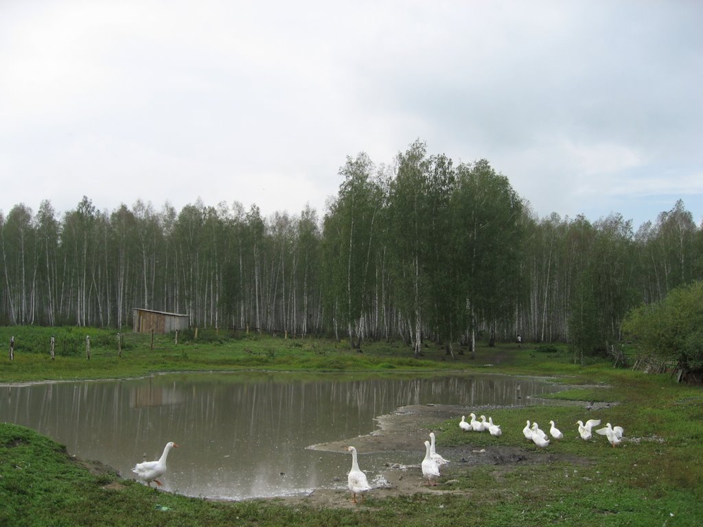 Кунашак, пруд