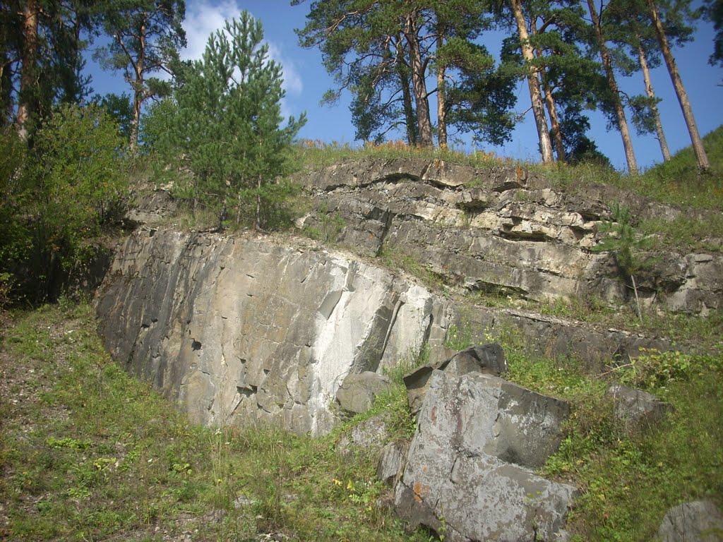 Скалы